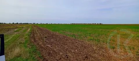 Участок в Крым, Сакский район, с. Добрушино  (132.0 сот.)