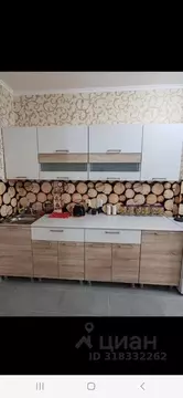 Студия Белгородская область, Белгород ул. Есенина, 15 (42.0 м)