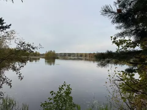 Участок в Костромская область, Красносельский район, Шолоховское ...