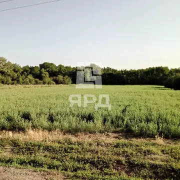 Участок в Ростовская область, Матвеево-Курганский район, с. Алексеевка ...