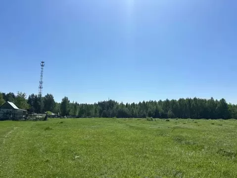 Участок в Московская область, Павлово-Посадский городской округ, д. ...