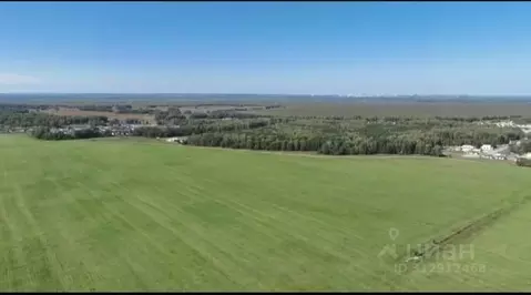 Участок в Алтайский край, Первомайский район, с. Фирсово, Рощино мкр ...