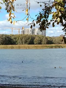 Участок в Татарстан, Казань Подгорный СНТ, 304 (6.0 сот.)