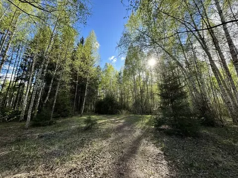Участок в Ярославская область, Некрасовское с/пос, Малые Соли Парк кп ...