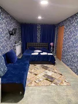 Комната Санкт-Петербург наб. Реки Фонтанки, 24