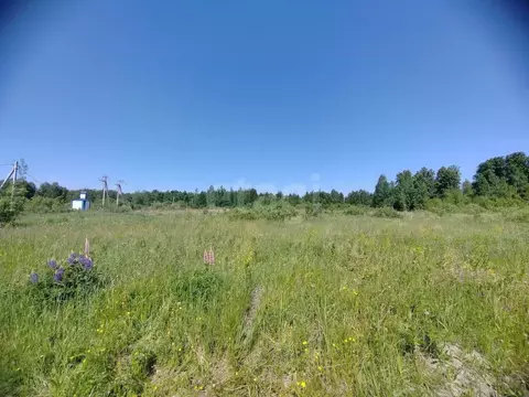 Участок в Тюменская область, Нижнетавдинский муниципальный округ, ...