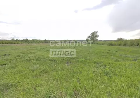 Участок в Липецкая область, Задонский район, Кашарский сельсовет, д. ...