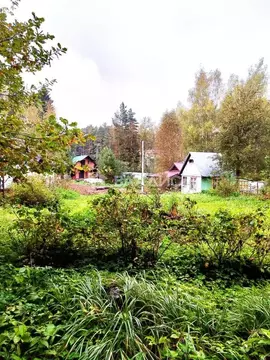 Участок в Москва, ТАО, Краснопахорский район, ОНТ Заря (4.95 м)