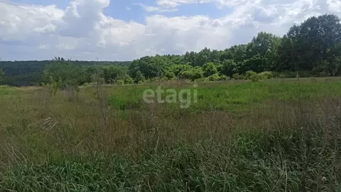 Участок в Белгородская область, Белгородский район, Беломестненское ...