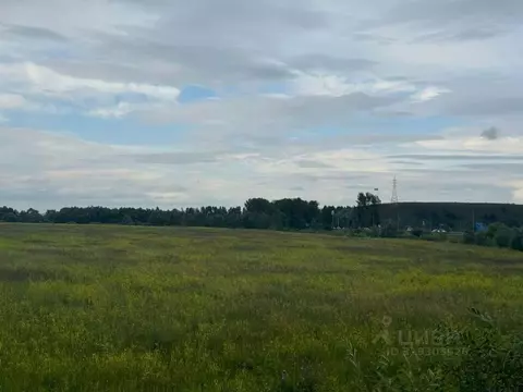 Участок в Татарстан, Нижнекамский район, Каенлинское с/пос, с. Борок  ...