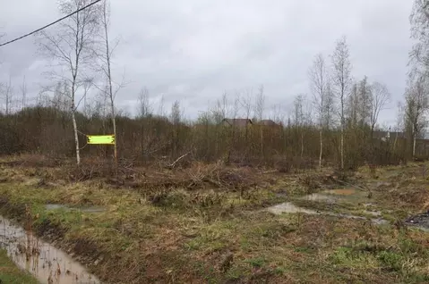 Участок в Новгородская область, Чудово ул. Рябиновая, 7 (16.4 сот.)