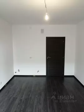 Студия Санкт-Петербург аллея Арцеуловская, 19 (25.5 м)