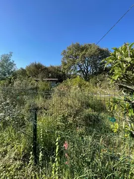 Участок в Краснодарский край, Сочи Медик ЖСК, 86 (6.11 сот.)