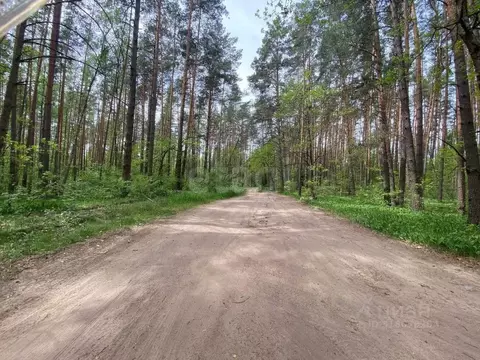 Участок в Брянская область, Брянский район, Журиничское с/пос, Факел-1 ...