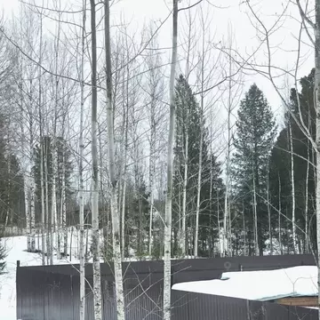 Участок в Ханты-Мансийский АО, Ханты-Мансийск Белка СОТ,  (9.0 сот.)