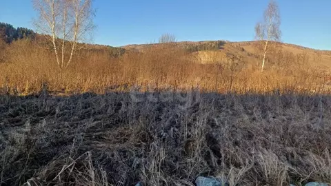 Участок в Алтай, Майминский район, с. Кызыл-Озек ул. Радужная, 10 ...