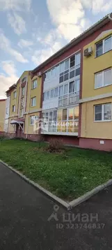 1-к кв. Ивановская область, Кохма просп. Героев, 5 (32.5 м)