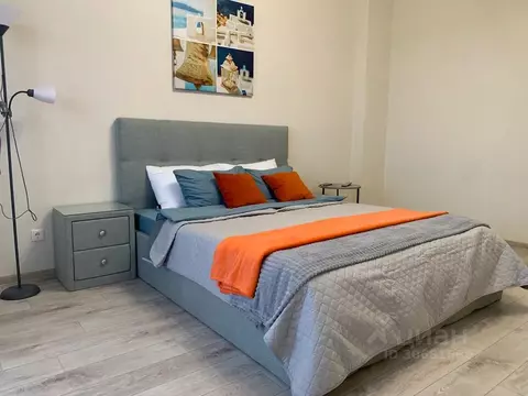 1-к кв. Красноярский край, Красноярск ул. Алексеева, 45 (53.0 м)