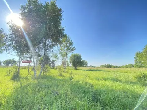 Участок в Костромская область, Нерехта ул. Егорьевская, 14 (8.8 сот.)