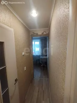 1-комнатная квартира: Брянск, улица Димитрова, 7к1 (32 м)