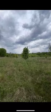 Участок в Воронежская область, Рамонский район, Айдаровское с/пос, ...