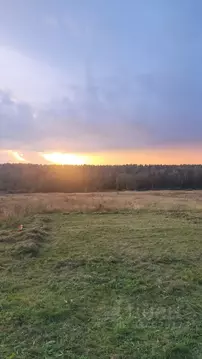 Участок в Владимирская область, Александровский муниципальный округ, ...