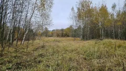 Участок в Московская область, Павлово-Посадский городской округ, с. ...