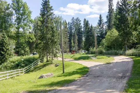 Участок в Московская область, Рузский муниципальный округ, Руза Лес дп ...