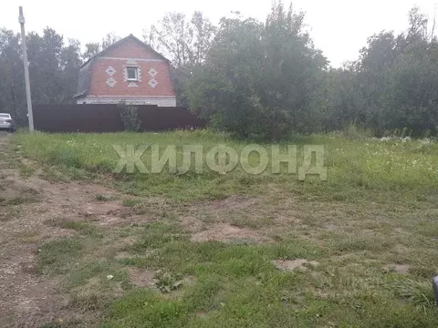 Участок в Брянская область, Брянский район, Снежское с/пос, с. ...