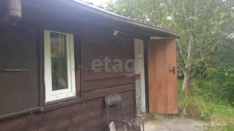 Участок в Калининградская область, Пионерский Пограничное СНТ,  (5.2 ...