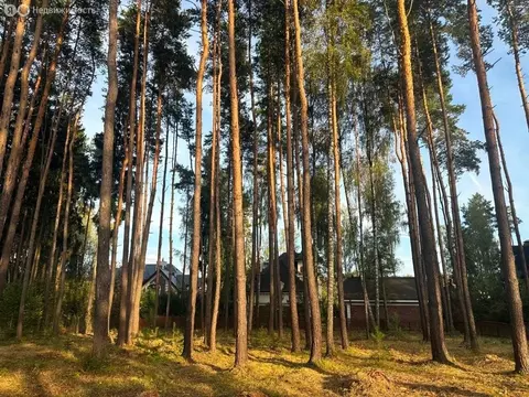 Участок в Химки, микрорайон Новогорск, Сосновая улица, 50 (8 м)