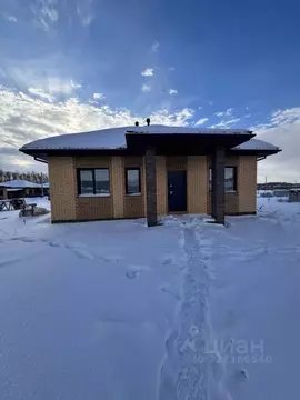 Дом в Омская область, Омский район муниципальный округ, с. Пушкино ул. ...