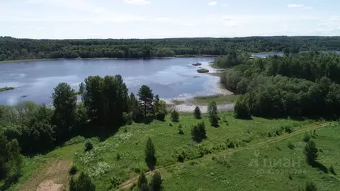 Участок в Новгородская область, Валдайский район, Едровское с/пос, д. ...