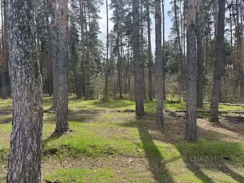 Участок в Московская область, Подольск городской округ, Бородино кп ...