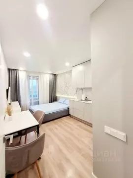 Студия Санкт-Петербург ул. Грибалевой, 9к1 (27.0 м)