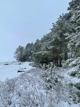 Участок в Ленинградская область, Выборгский район, Полянское с/пос, ...