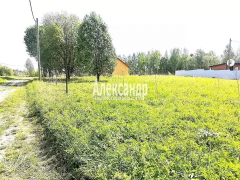 Участок в Ленинградская область, Приозерский район, Запорожское с/пос, ...