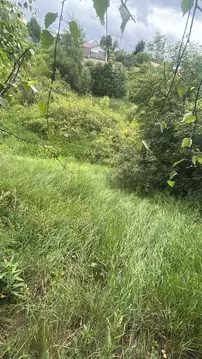 Участок в Московская область, Ступино городской округ, д. Бекетово ул. ...