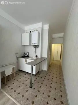 1-комнатная квартира: Сочи, Водораздельная улица, 16/1 (22.6 м)