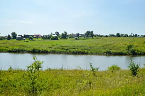 Участок в Тульская область, Щекинский район, Крапивенское с/пос, д. ...