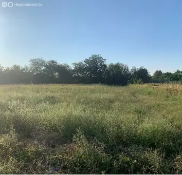 Участок в Новокубанск, улица Нева (7.88 м)
