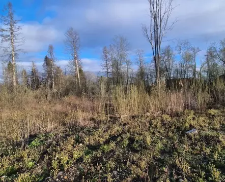 Участок в Вологодская область, Череповец 36-й мкр,  (6.67 сот.)