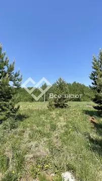 Участок в Челябинская область, Сосновский муниципальный округ, пос. ...