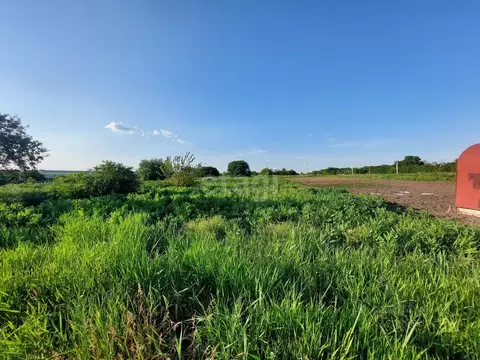 Участок в Белгородская область, Белгородский район, Беломестненское ...
