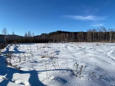 Участок в Алтай, Майминский район, с. Кызыл-Озек ул. Малиновая, 51 ...