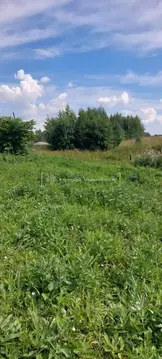 Участок в Томская область, Томский район, д. Новомихайловка пер. ...