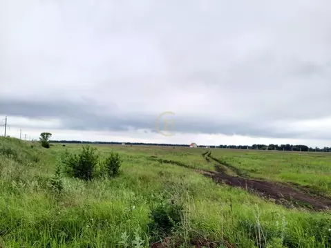 Участок в Тамбовская область, Тамбовский муниципальный округ, д. ...