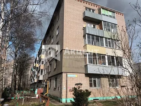 2-к кв. Ивановская область, Иваново Кавалерийская ул., 64 (44.0 м)