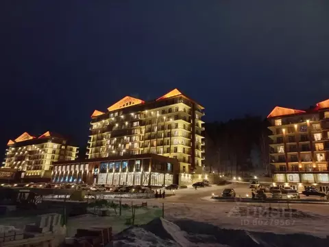 1-к кв. Челябинская область, Миасский городской округ, с. Сыростан ул. ...