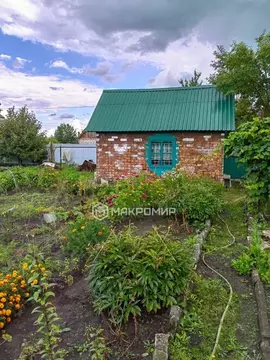 Дом в Брянская область, Брянск  (30 м)